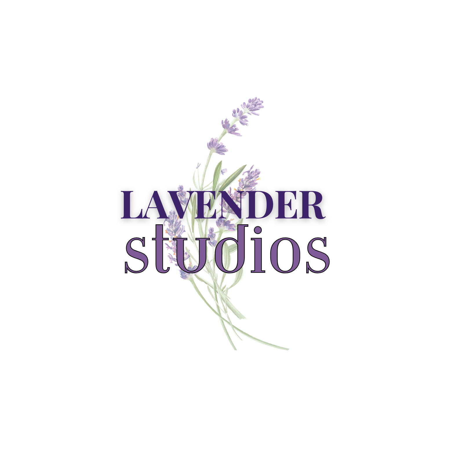 Lavender Studios